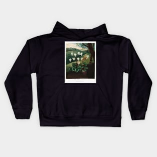 The Persian Cyclamen Kids Hoodie